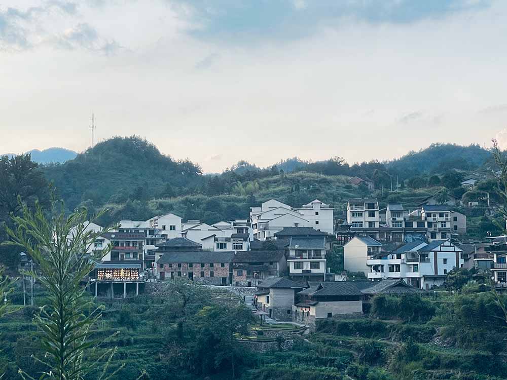 暑期社會(huì)實(shí)踐·大學(xué)生助力鄉(xiāng)村米酒，把酒賣到“云上”去