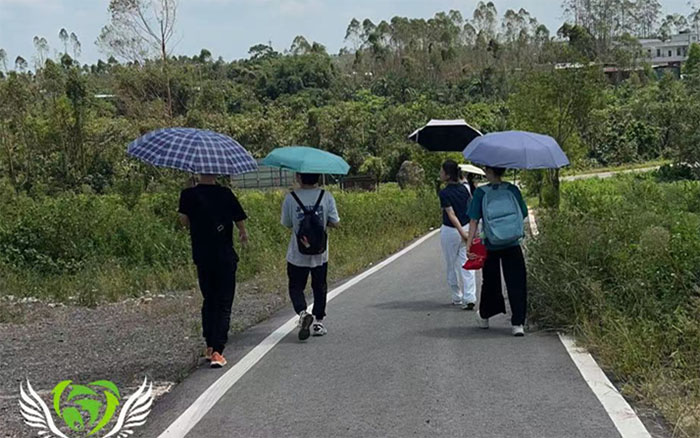 訪后塘村茶企，知鄉(xiāng)村振興路——華南師范大學地理科學學