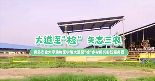 大道至簡，三農(nóng)情牽：青島農(nóng)業(yè)大學(xué)動(dòng)物醫(yī)學(xué)院鄉(xiāng)村振興實(shí)踐服務(wù)團(tuán)走訪養(yǎng)殖天地