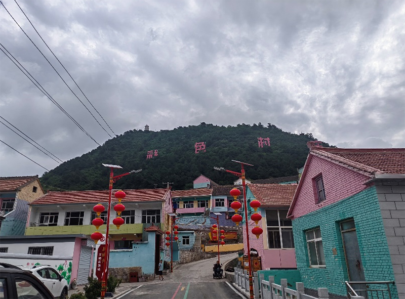 七彩村莊煥發(fā)新生機(jī)，連翹產(chǎn)業(yè)助力鄉(xiāng)村振興