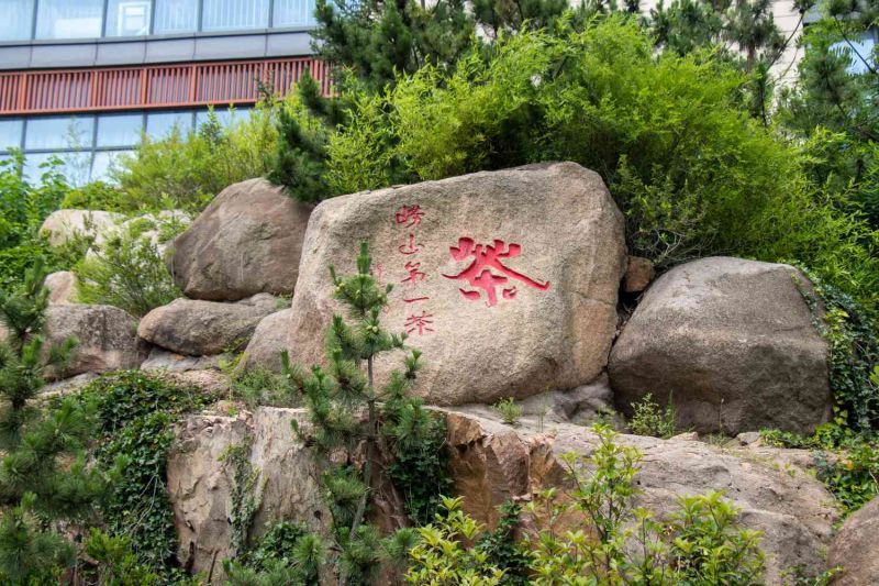 從低碳視角出發(fā)，探討鄉(xiāng)村綠色轉(zhuǎn)型之路-致遠實踐隊心得