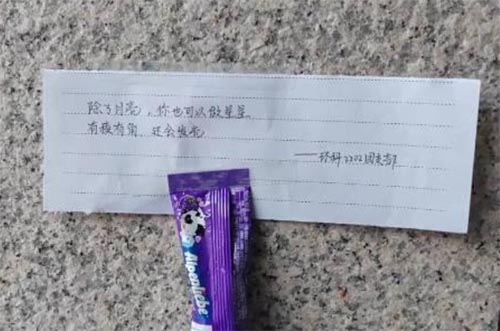 構(gòu)建幸福校園，彰顯文明之風(fēng)