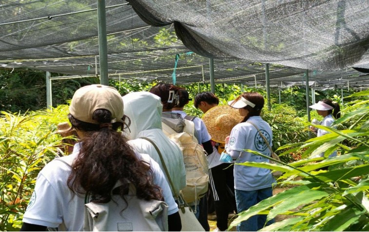 青年腳踏借鑒路，陽春砂仁香滿懷