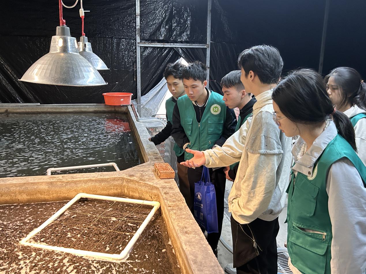 佛山大學“漁”躍鄉(xiāng)村實踐團：走進恒強水產(chǎn)，探尋漁業(yè)發(fā)展新脈絡(luò)
