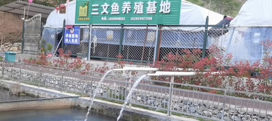 塑造甘南“特色品牌”，擴(kuò)寬群眾增收大道。